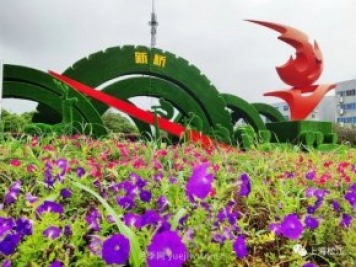 上海松江这里的花坛、花境“上新”啦!特色景观升级!
