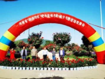 河南省四优四化项目 助推南阳月季、栀子产业发展