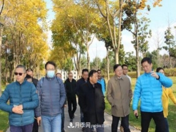 提升城市园林绿化，苏州向上海学什么？